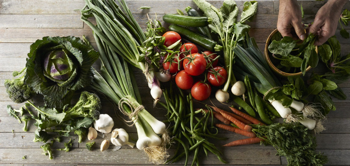 banner sản phẩm nghị được food